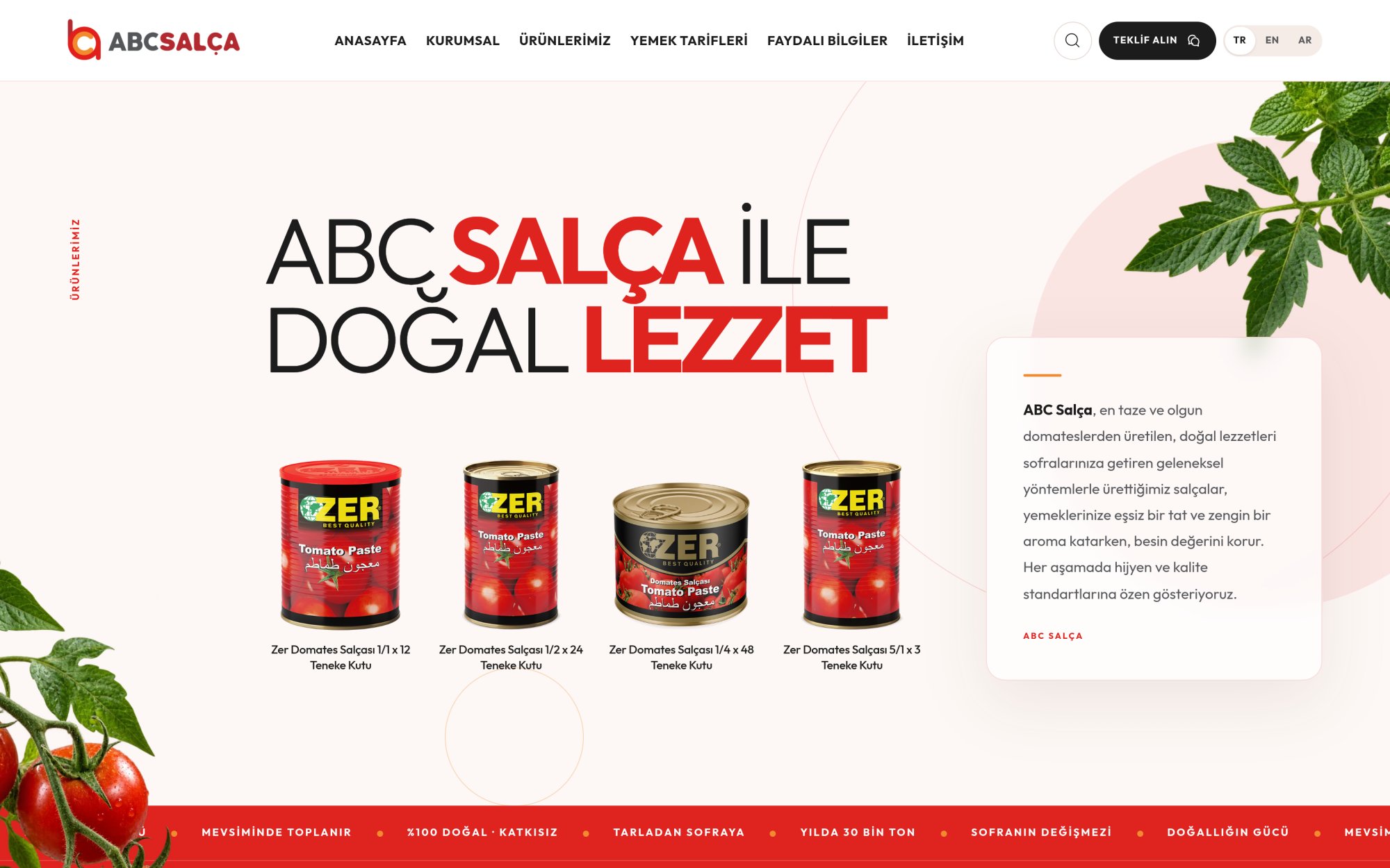 Abc Salça