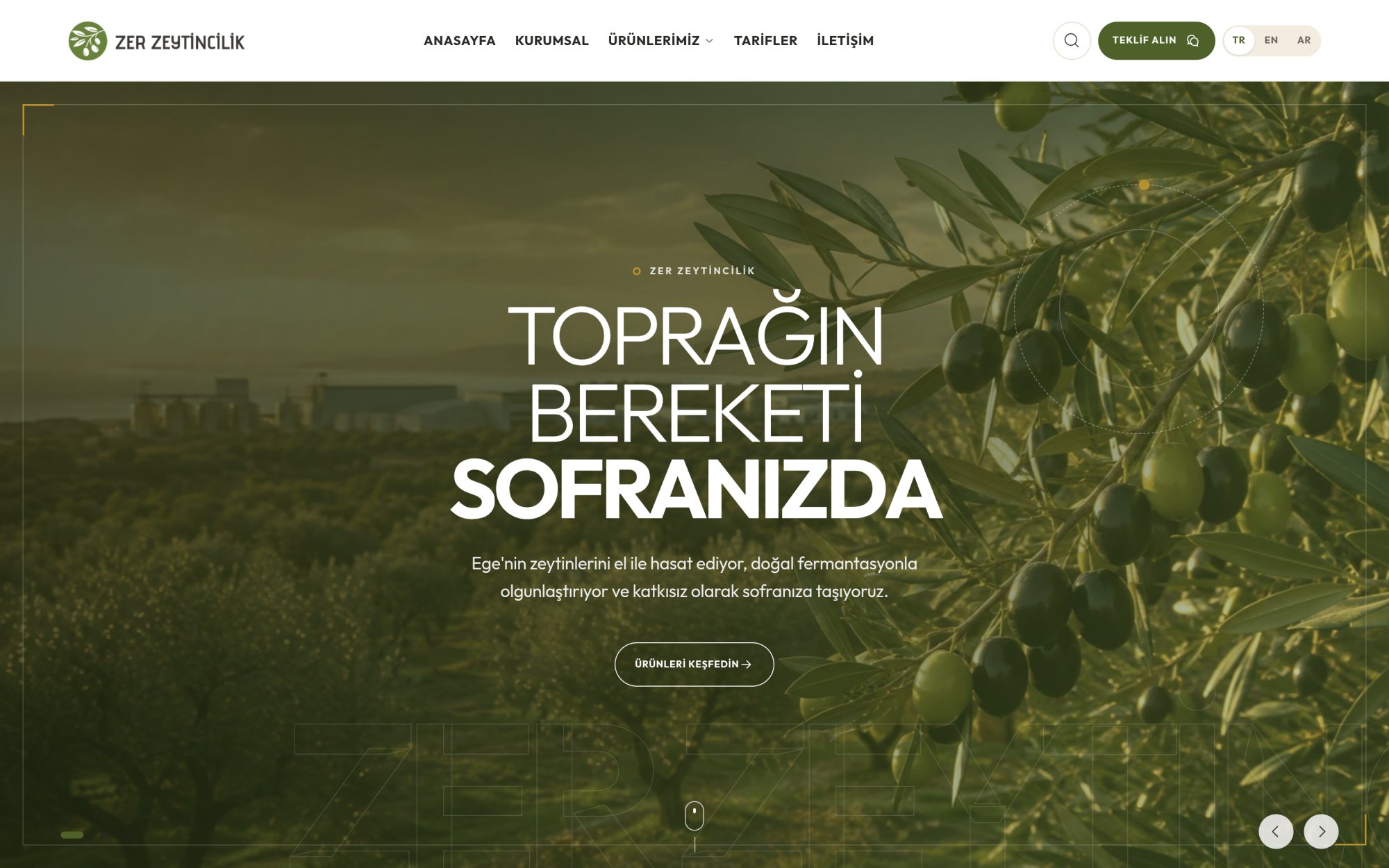 Zer Zeytin