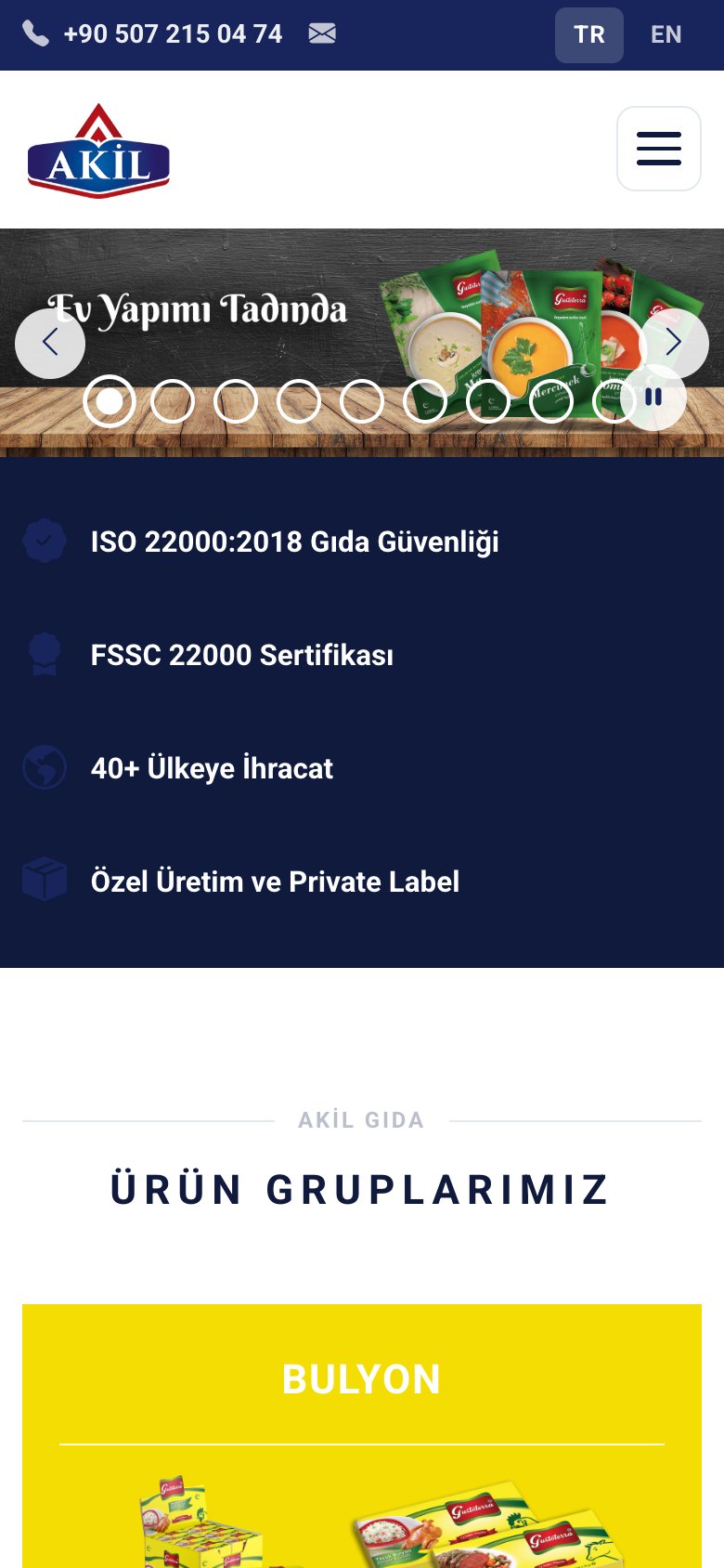 Akıl Gıda — mobil görünüm