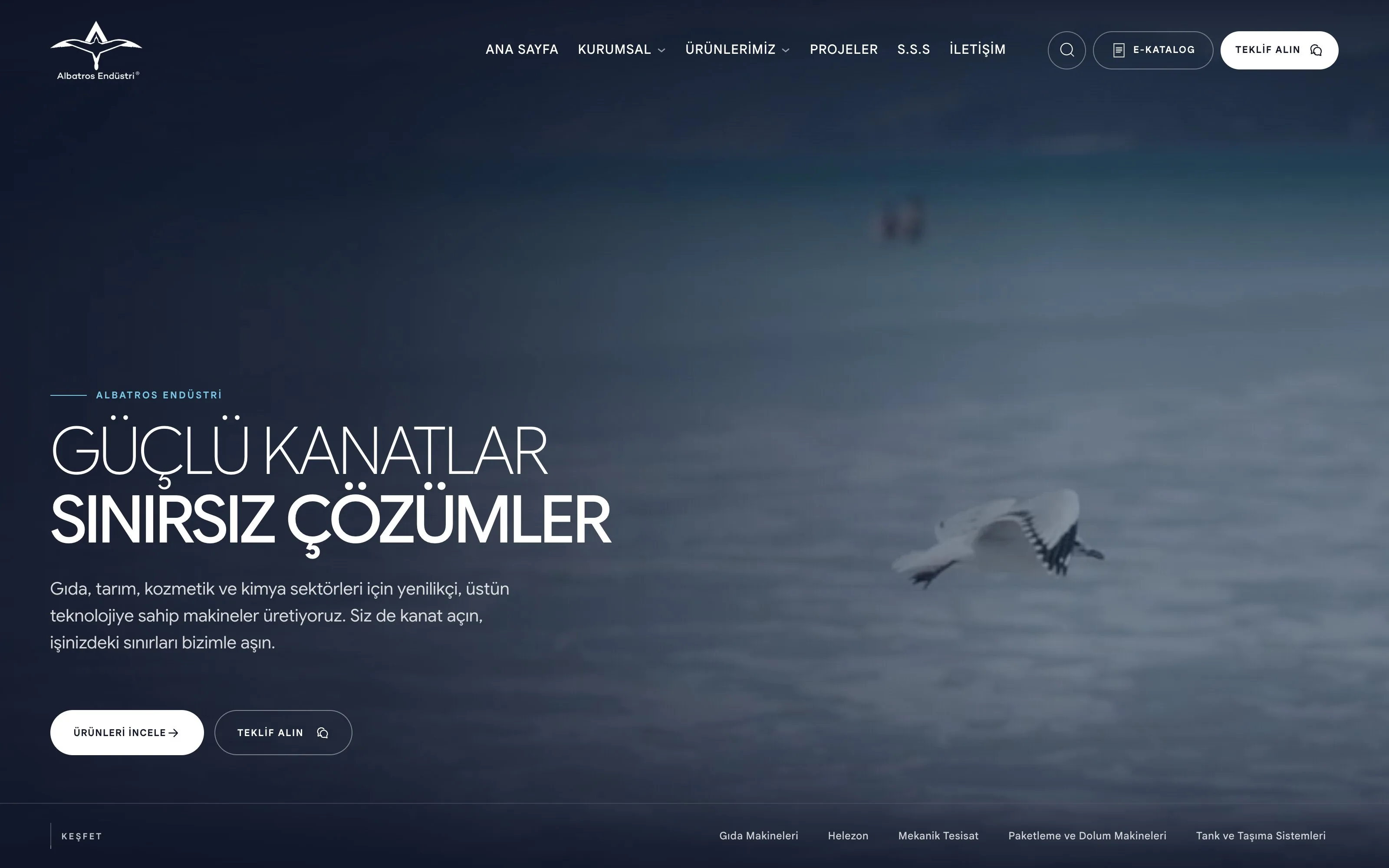 Albatros Endüstri web sitesi ekran görüntüsü
