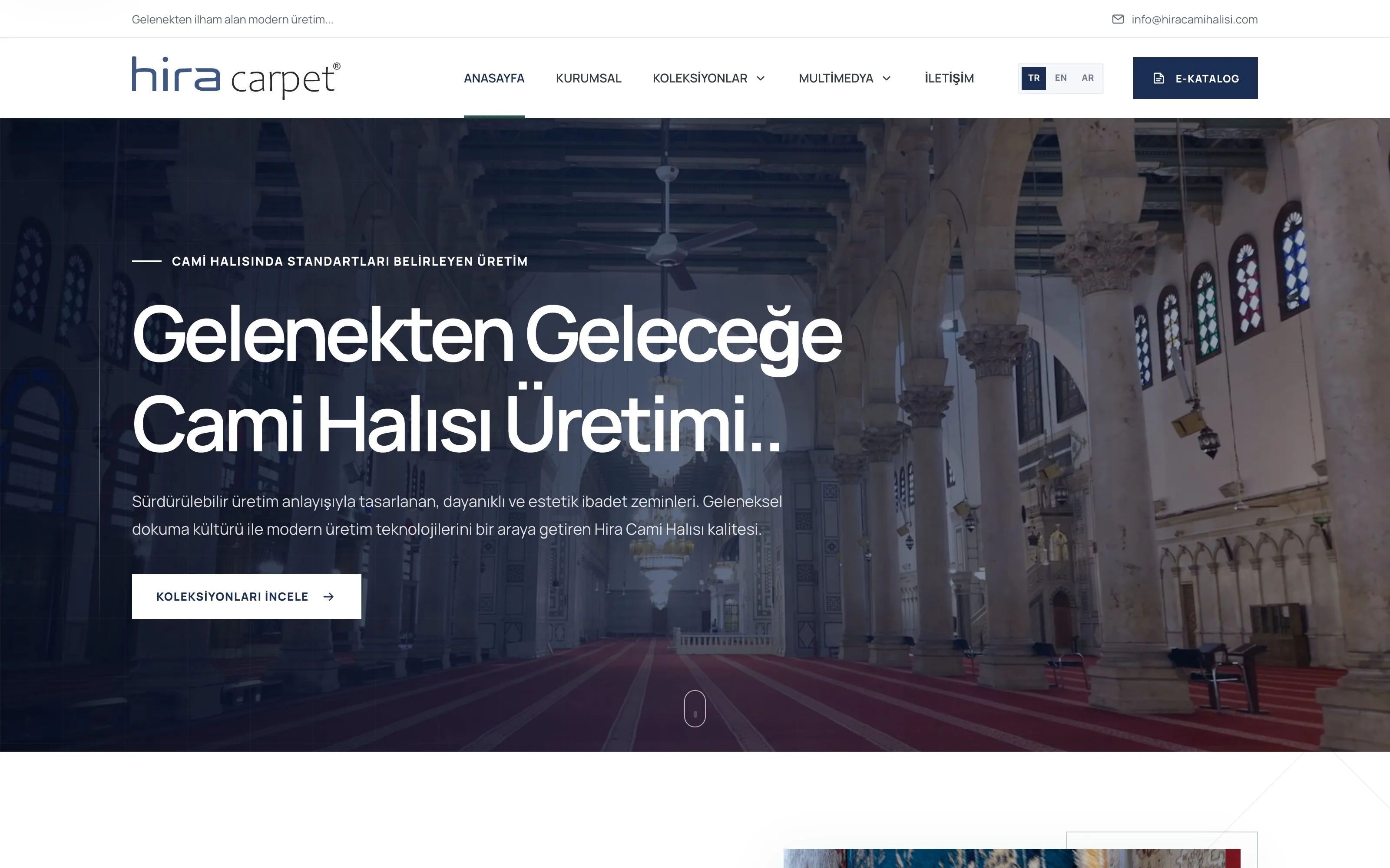 Asalet Carpet web sitesi ekran görüntüsü