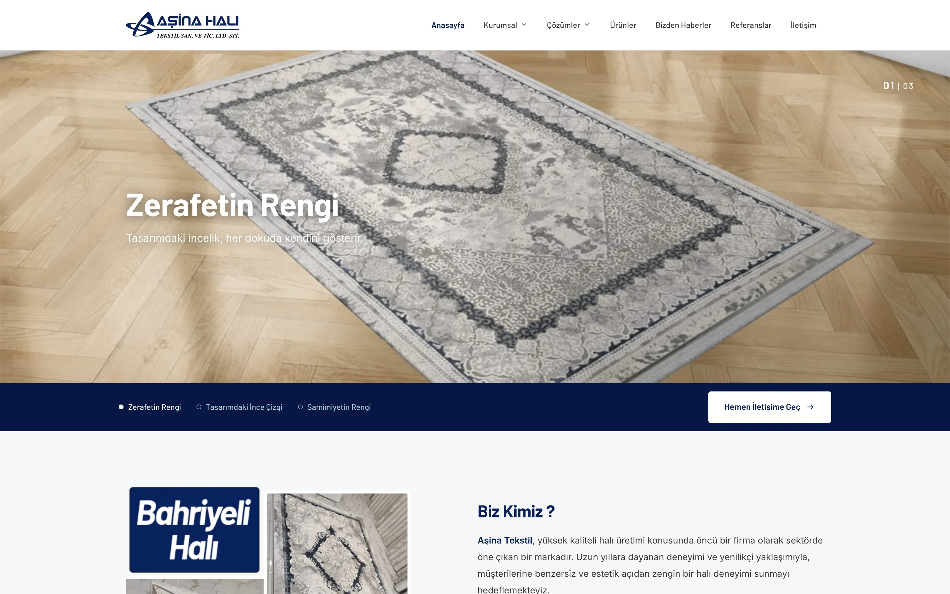 Asina Carpet web sitesi ekran görüntüsü