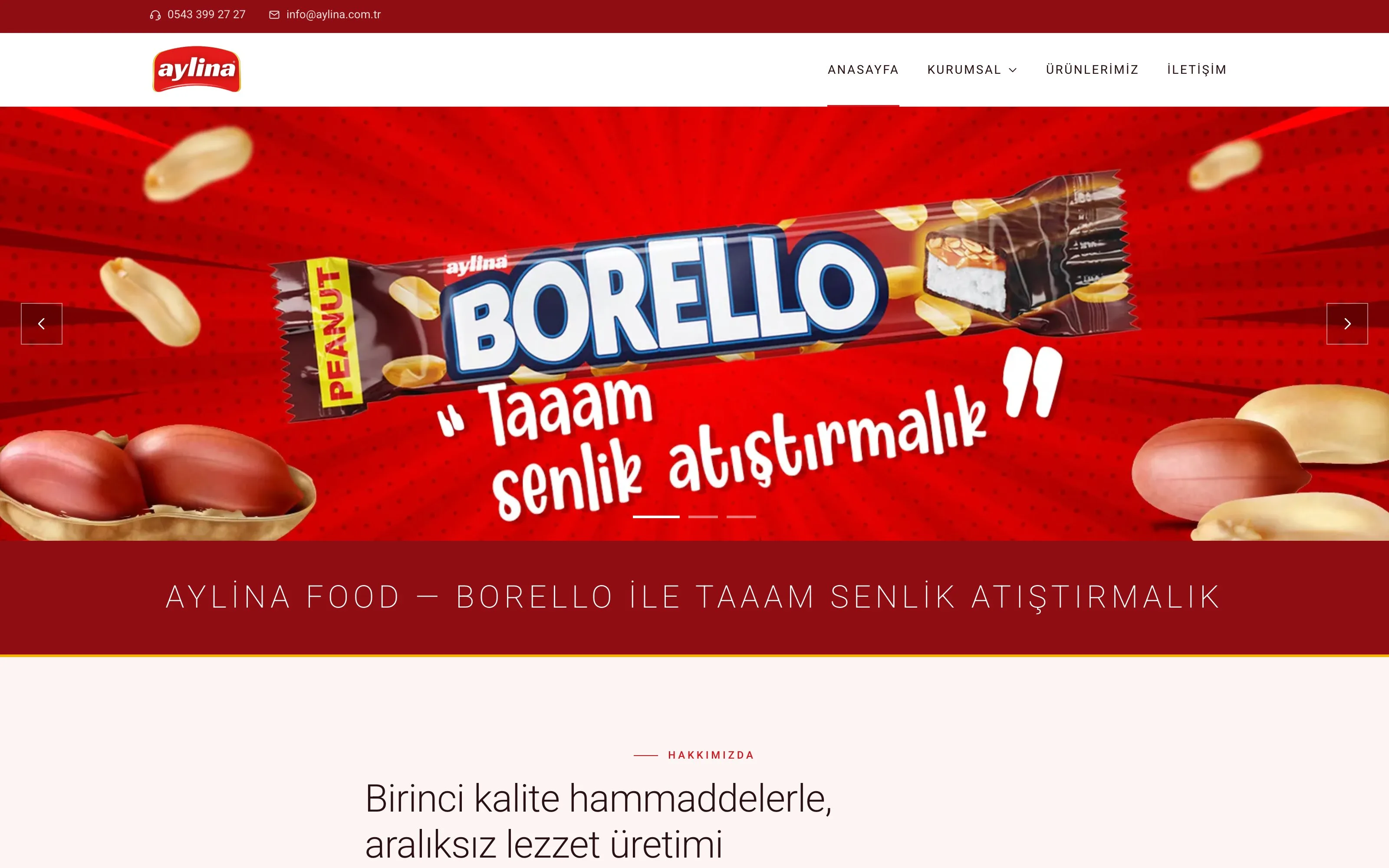 Aylina web sitesi ekran görüntüsü