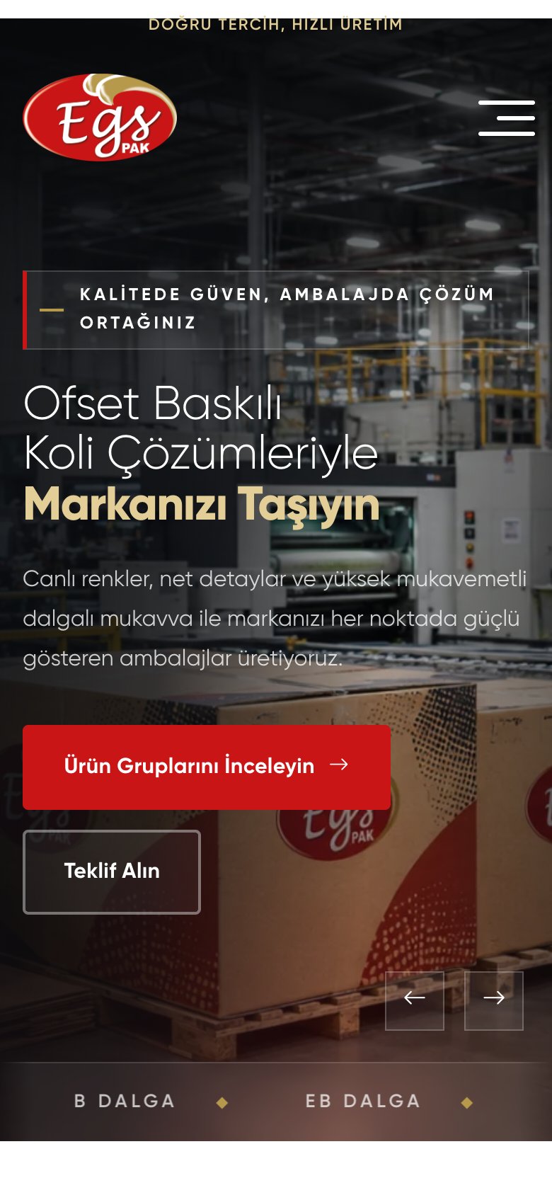 Egs Pak Ambalaj — mobil görünüm
