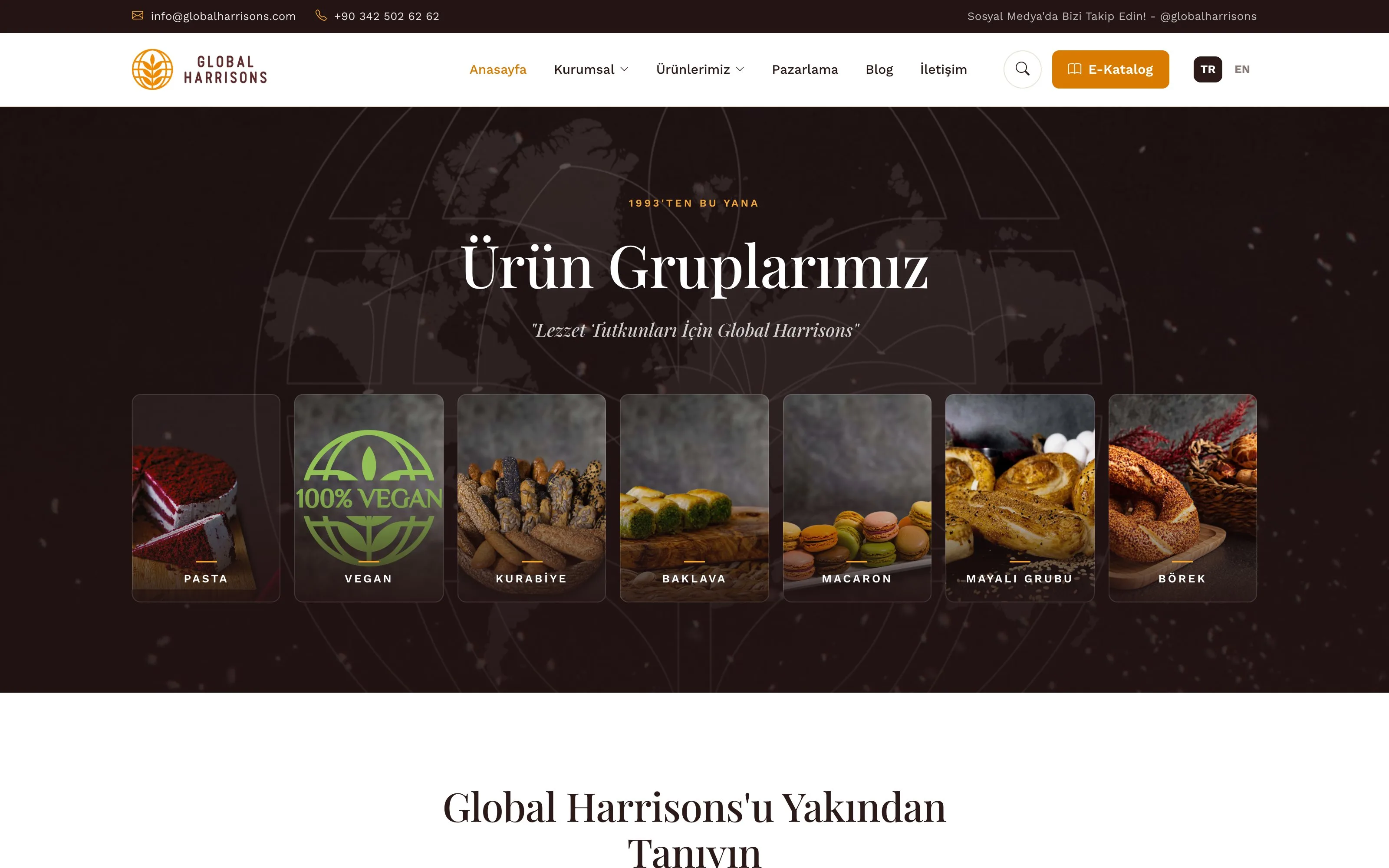 Global Harrisons web sitesi ekran görüntüsü