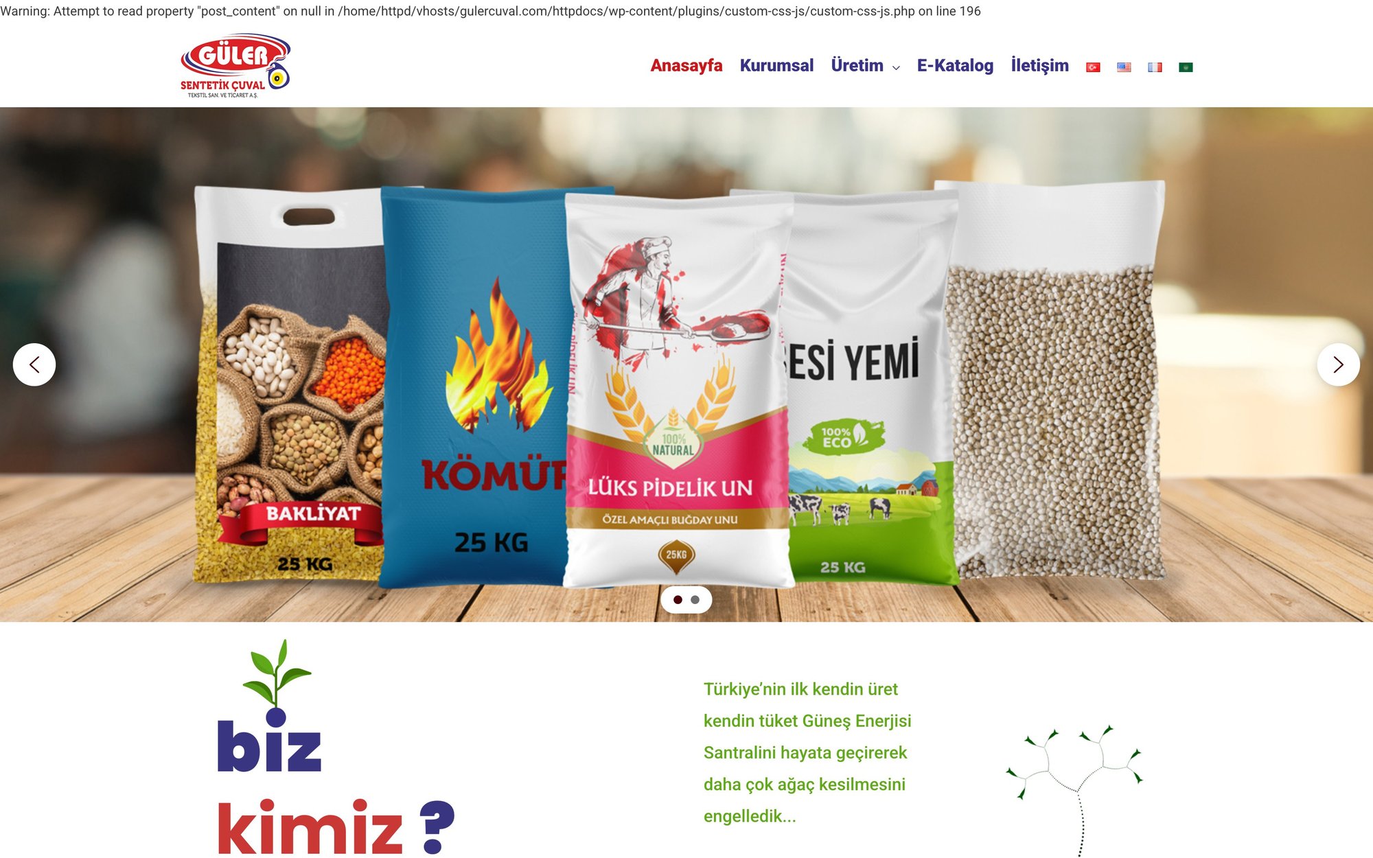 Güler Çuval