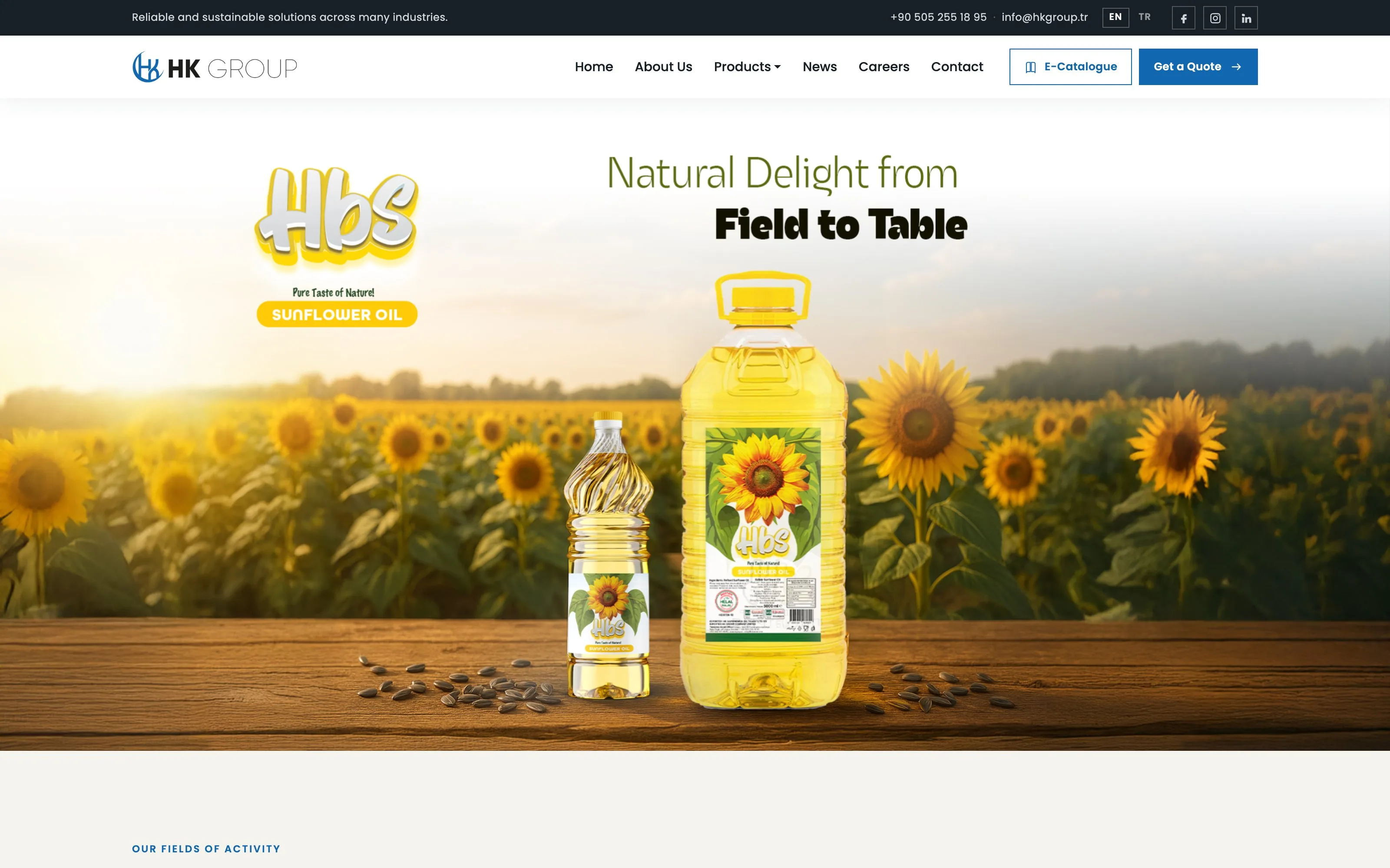 HK Dış Ticaret web sitesi ekran görüntüsü