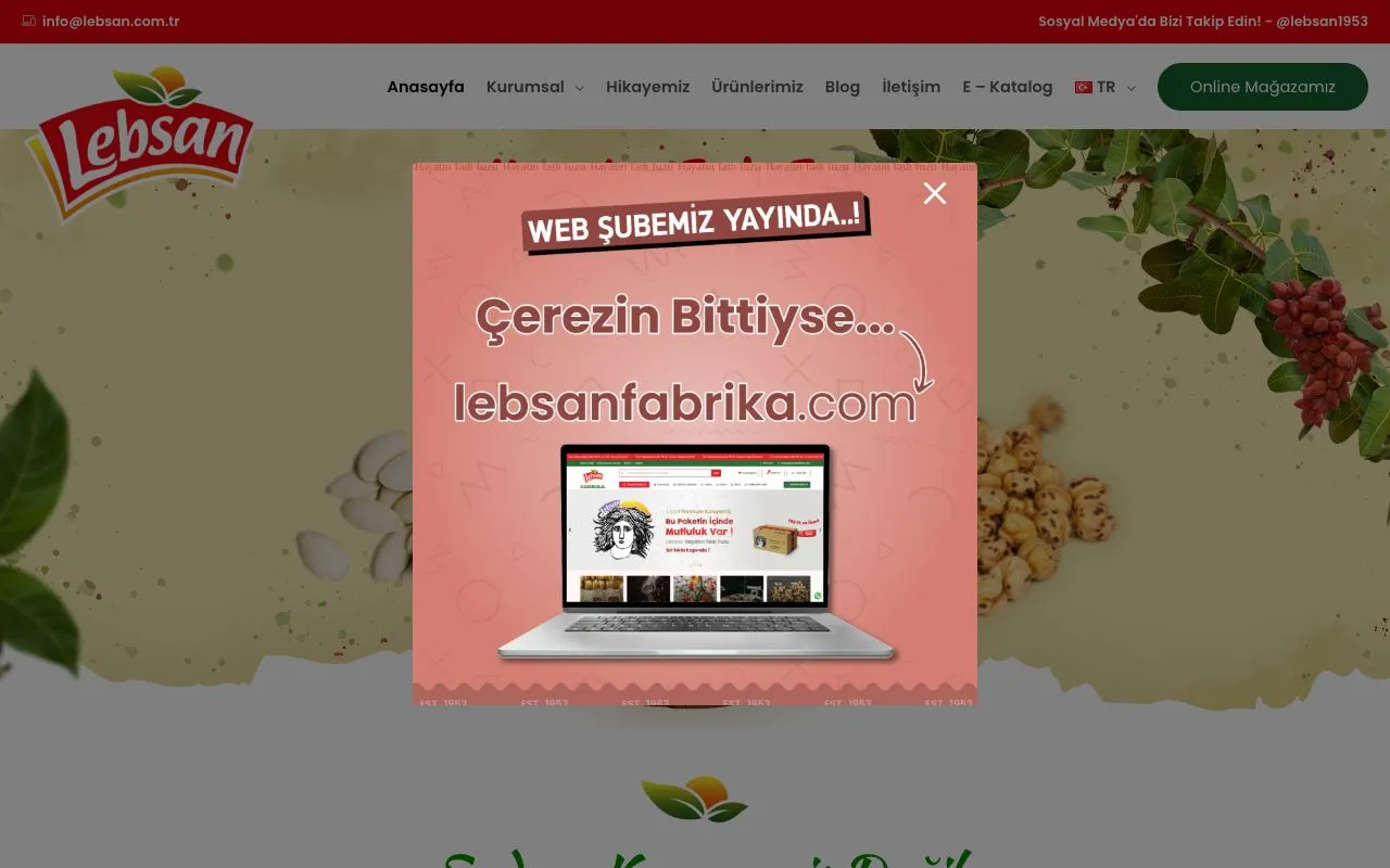 Lebsan Kuruyemiş