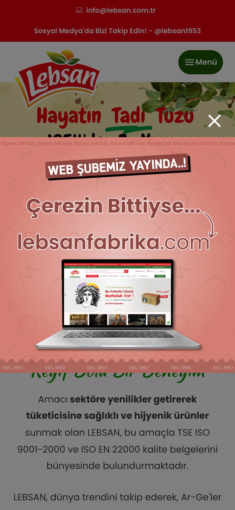 Lebsan Kuruyemiş — mobil görünüm