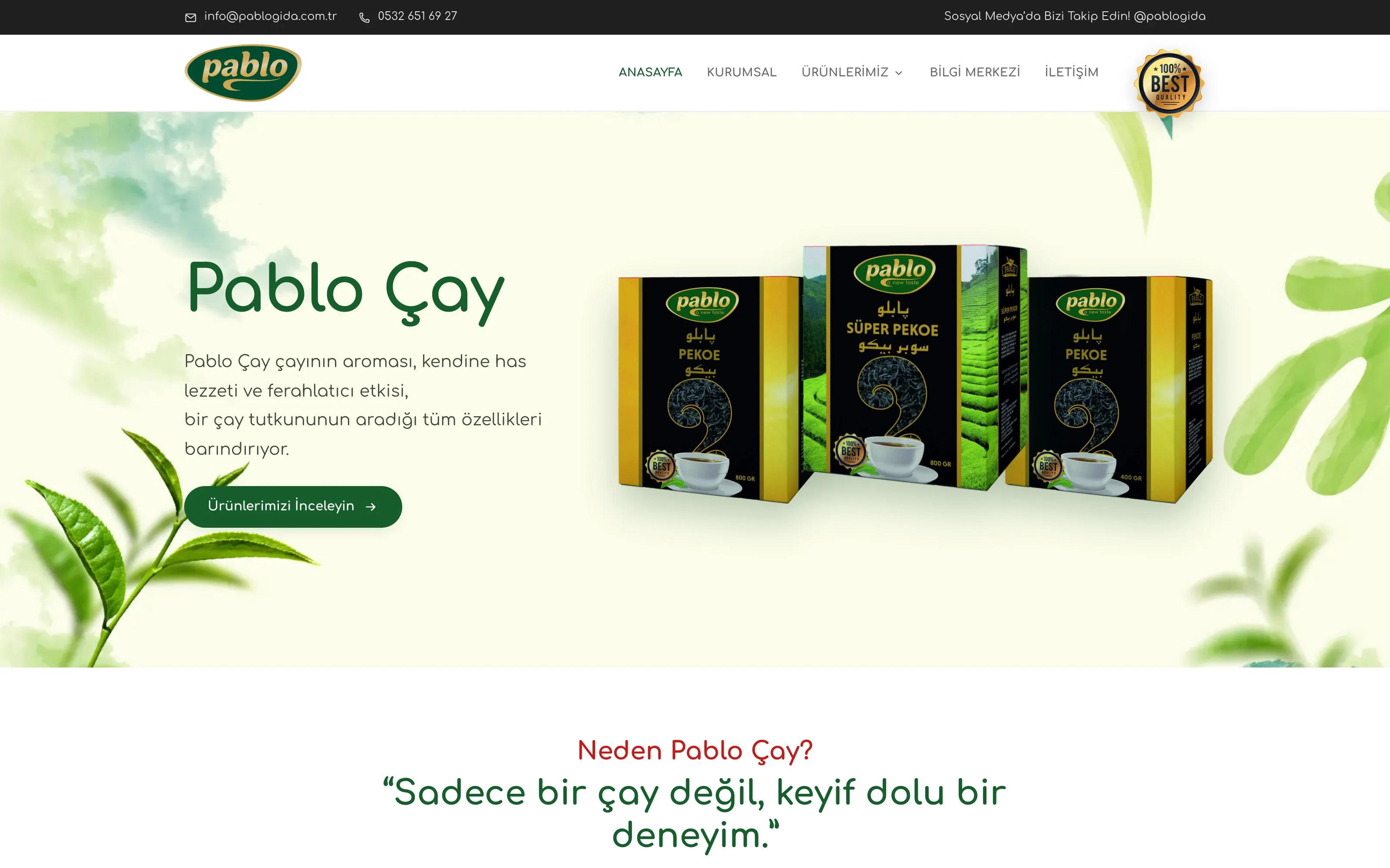 Pablo Gıda web sitesi ekran görüntüsü