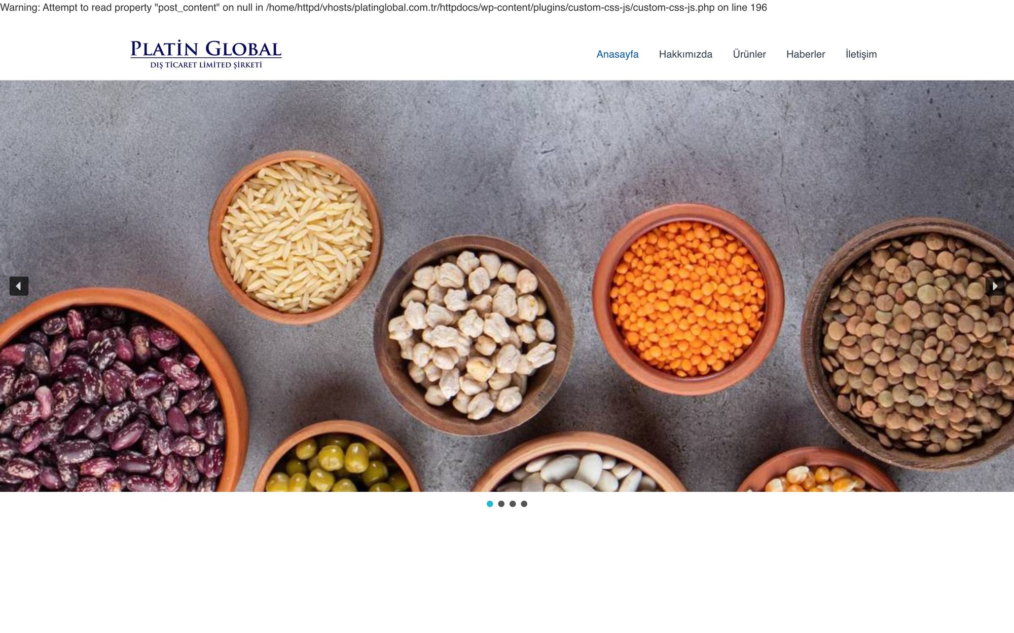 Platin Global