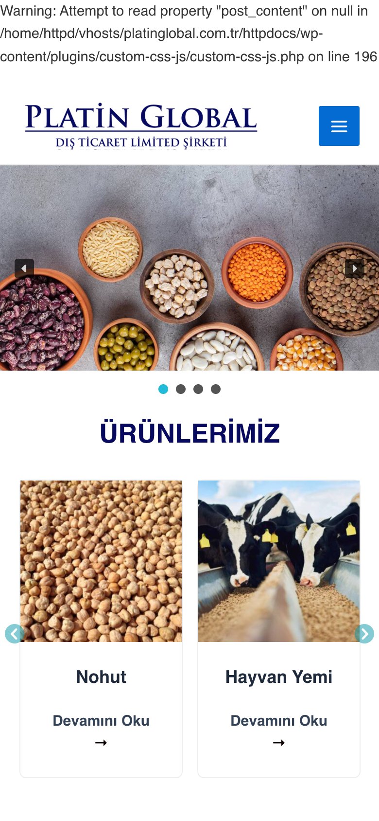 Platin Global — mobil görünüm