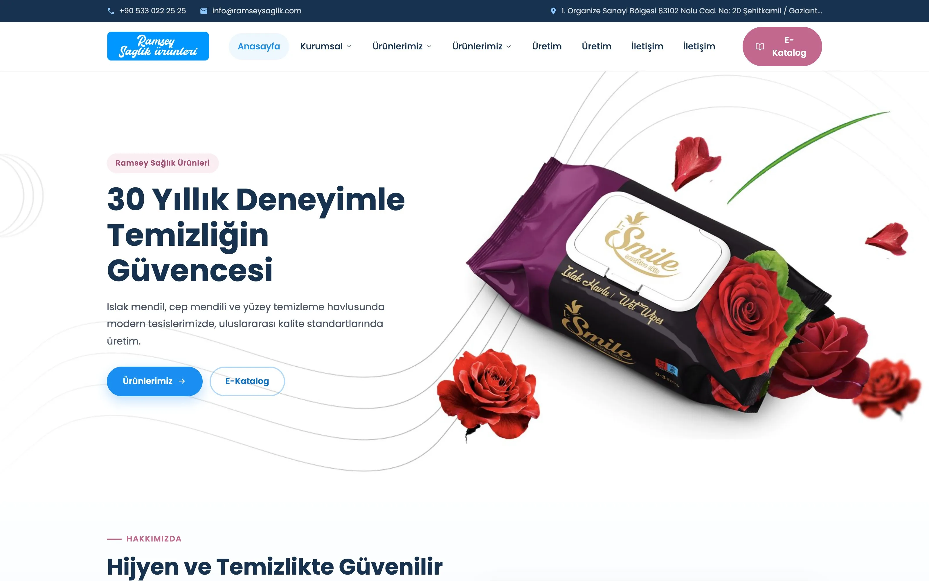 Ramsey Sağlık web sitesi ekran görüntüsü