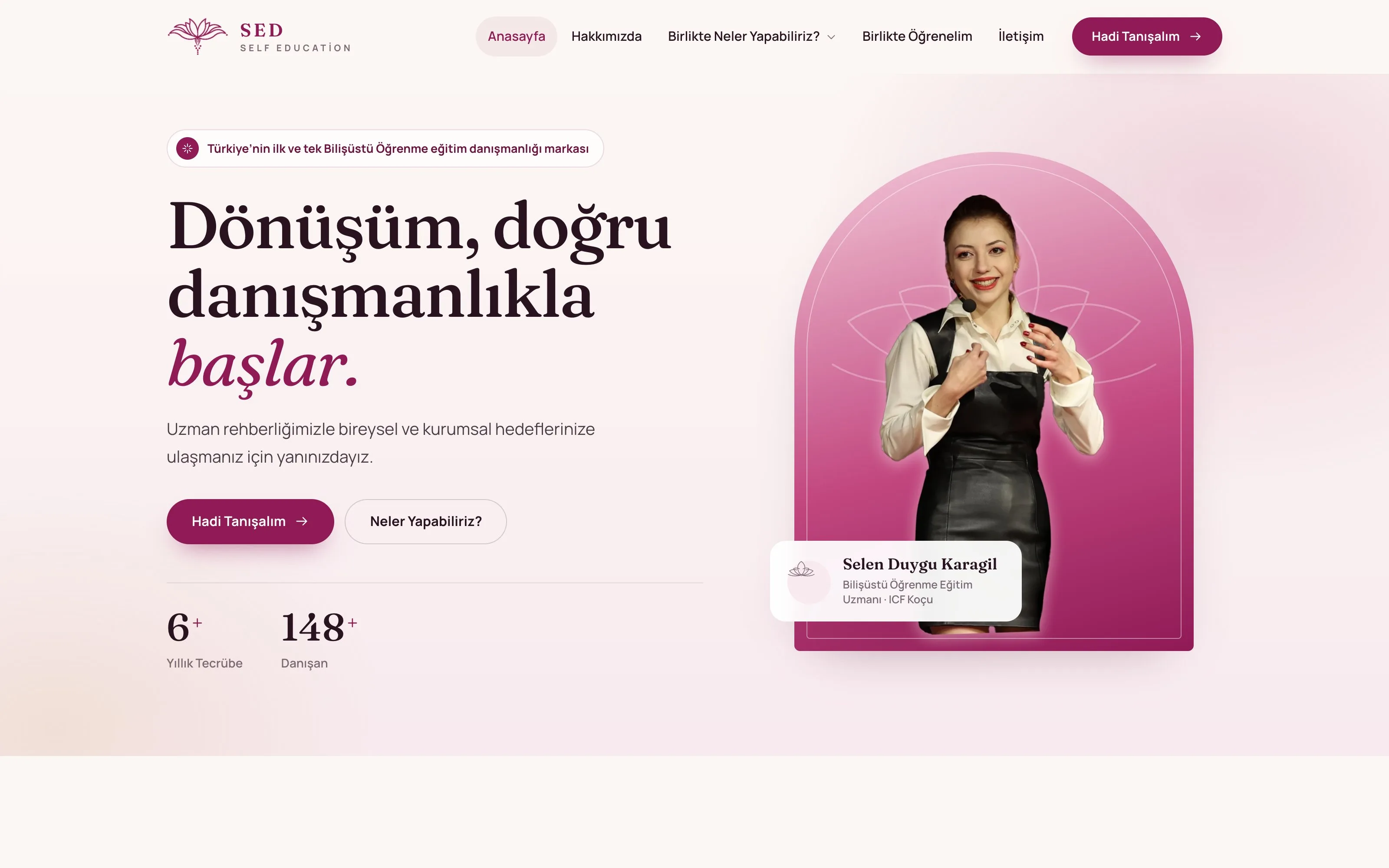 SED Self Education web sitesi ekran görüntüsü