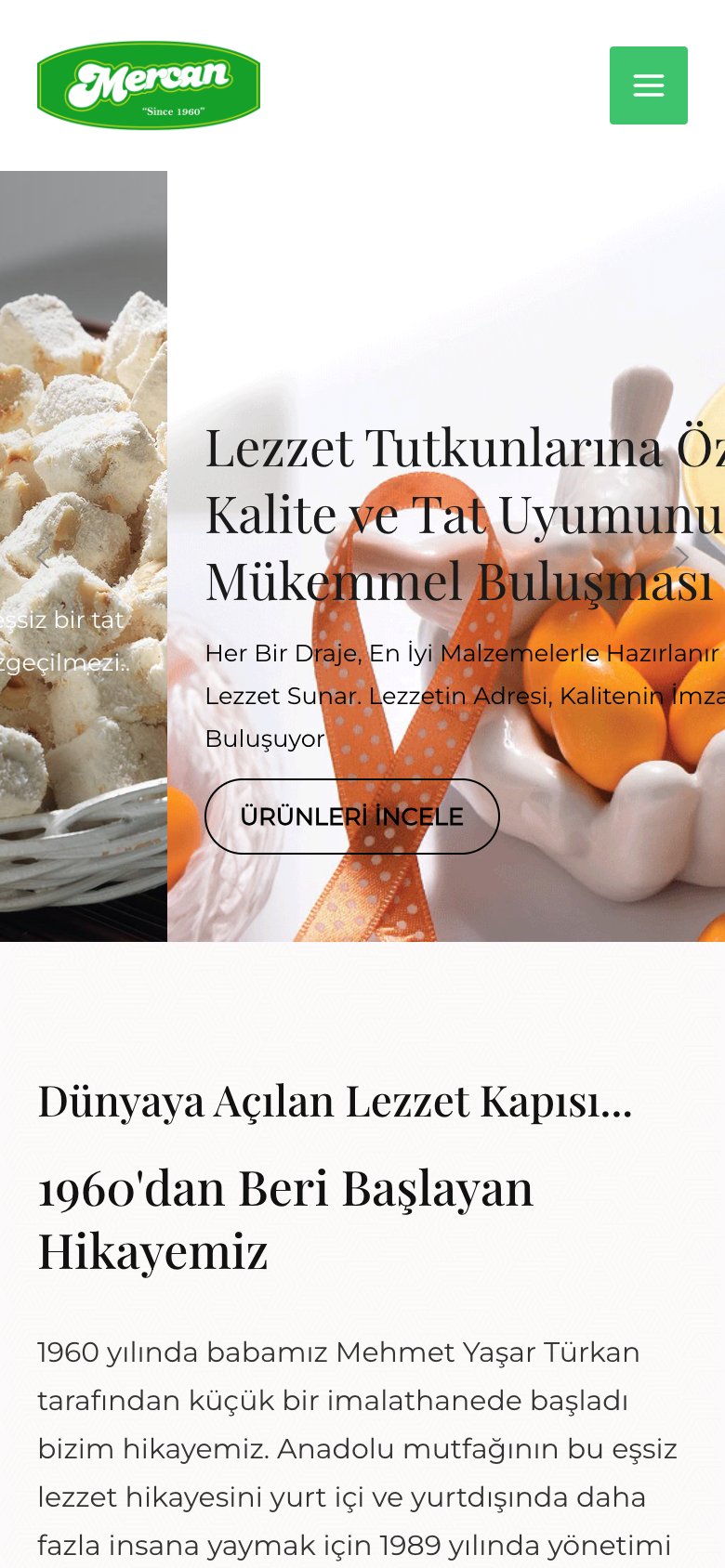 Teklif Gıda — mobil görünüm