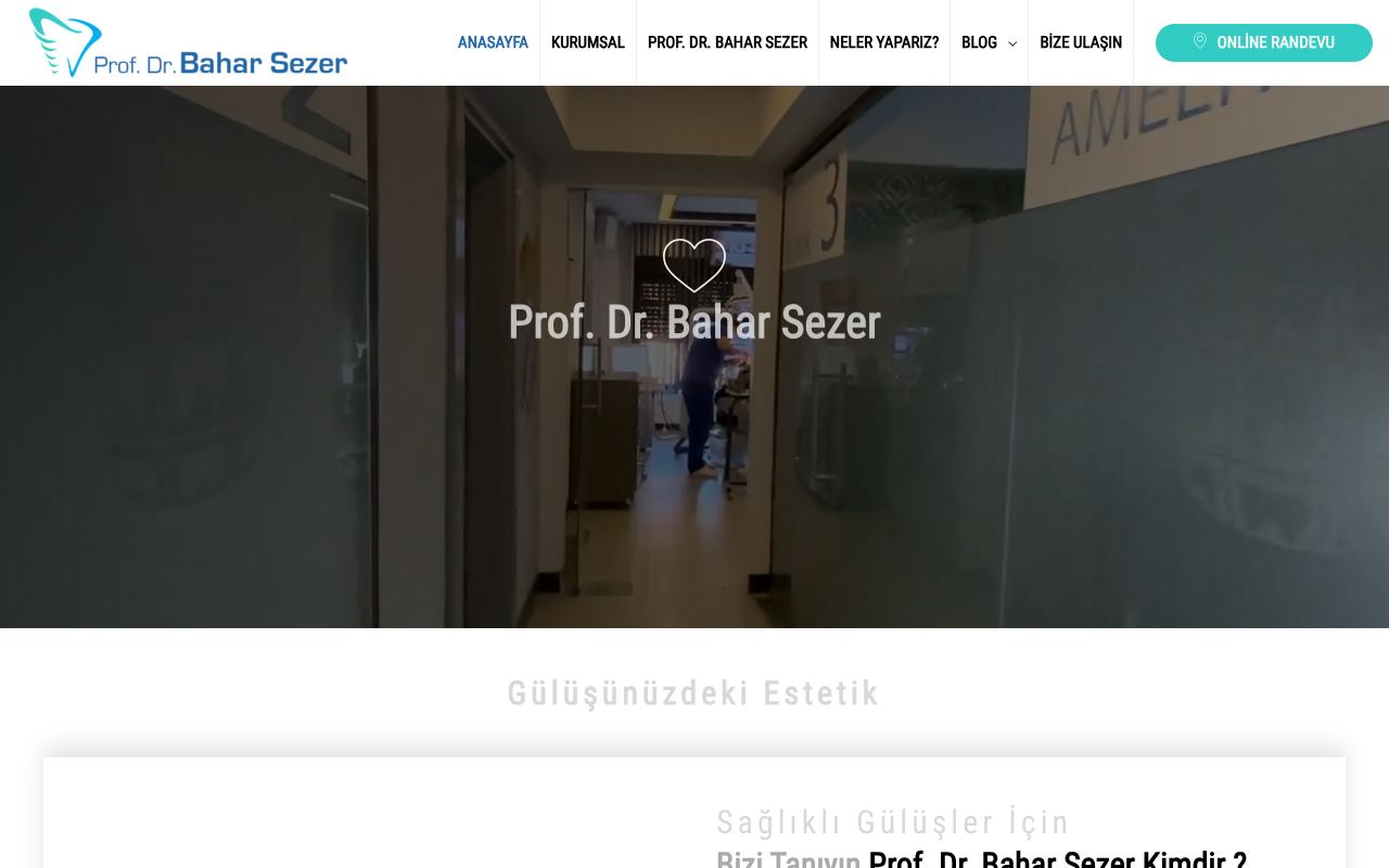 Bahar Sezer