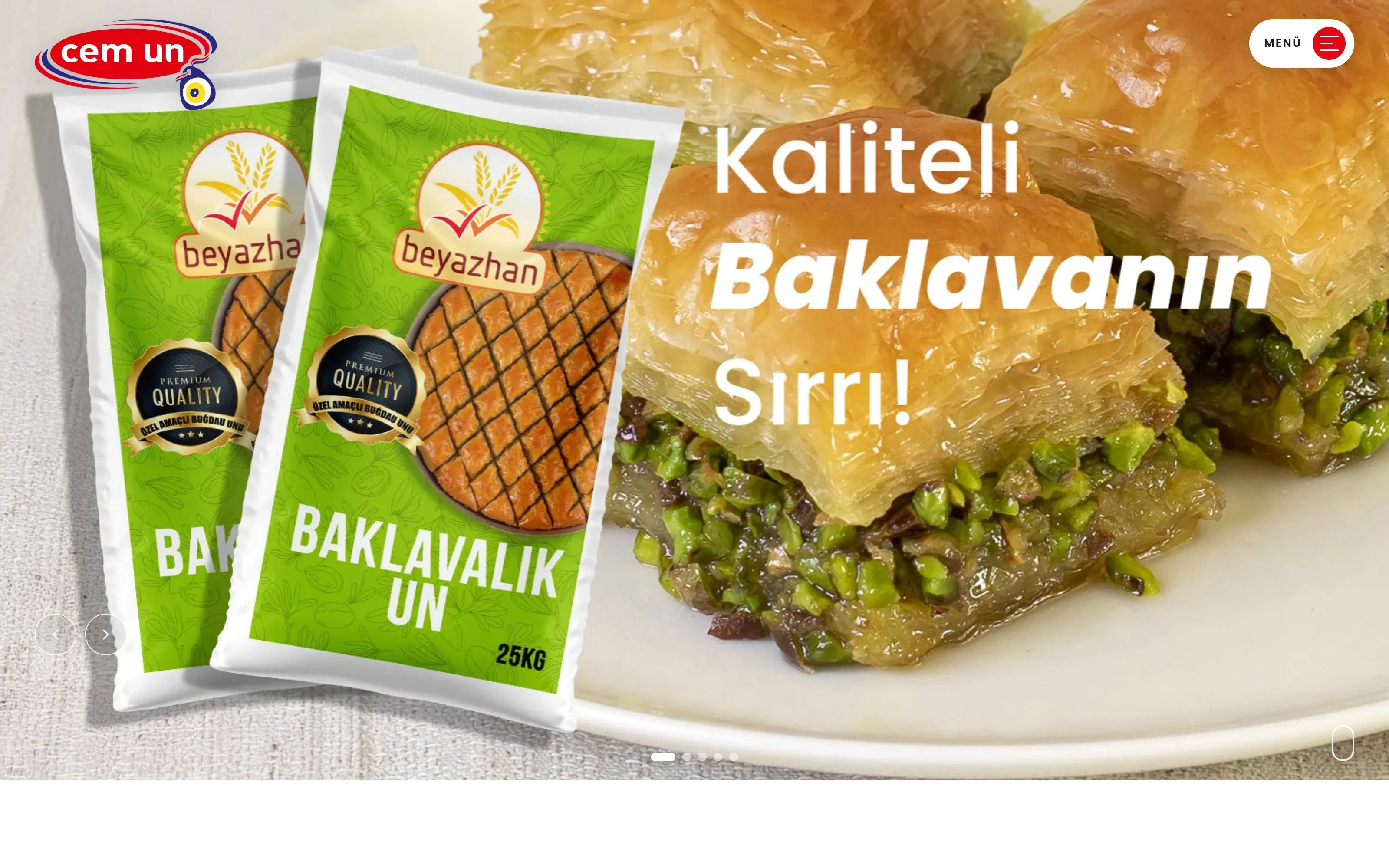Yeni Güler web sitesi ekran görüntüsü