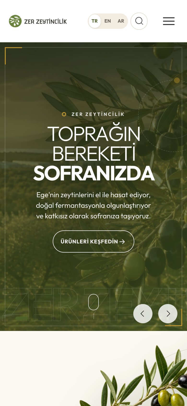 Zer Zeytin — mobil görünüm
